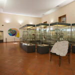 Museo di Paleontologia